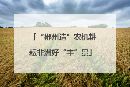 “郴州造”农机耕耘非洲好“丰”景