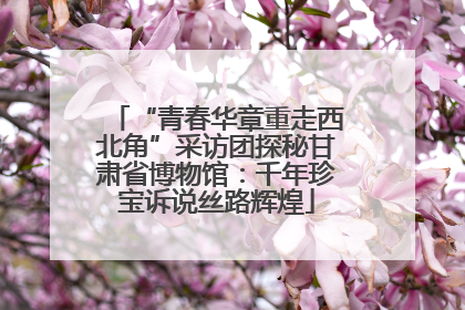 “青春华章重走西北角”采访团探秘甘肃省博物馆：千年珍宝诉说丝路辉煌