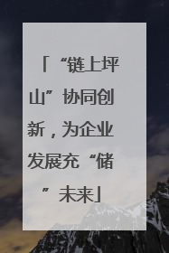 “链上坪山”协同创新，为企业发展充“储”未来