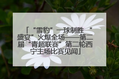 “雪豹”一球制胜 “盛宴”火爆全场——第二届“青超联赛”第二轮西宁主场比赛见闻