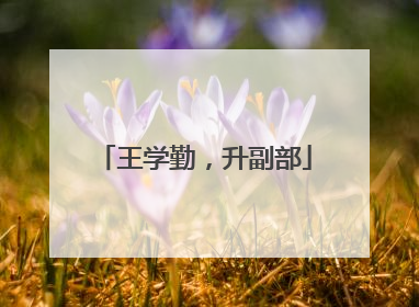 王学勤，升副部