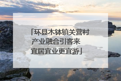 环县木钵镇关营村 产业融合引客来 宜居宜业更宜游