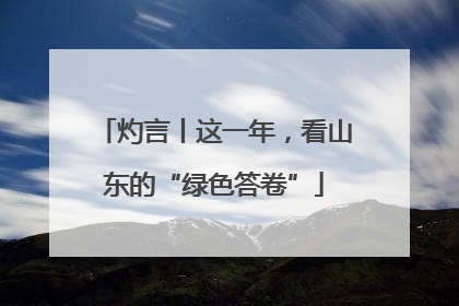 灼言丨这一年，看山东的“绿色答卷”