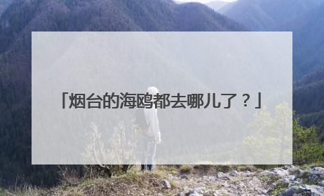 烟台的海鸥都去哪儿了？