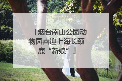 烟台南山公园动物园喜迎上海长颈鹿“新娘”
