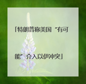 特朗普称美国“有可能”介入以伊冲突