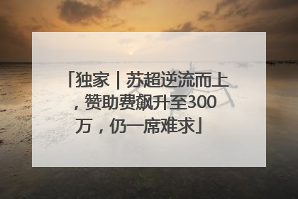 独家｜苏超逆流而上，赞助费飙升至300万，仍一席难求