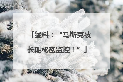 猛料：“马斯克被长期秘密监控！”