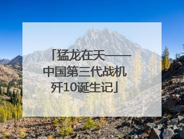 猛龙在天——中国第三代战机歼10诞生记