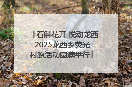石斛花开 悦动龙西 2025龙西乡荧光村跑活动圆满举行