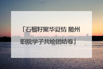 石榴籽聚华夏情 随州职院学子共绘团结卷