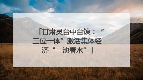 甘肃灵台中台镇：“三位一体”激活集体经济“一池春水”