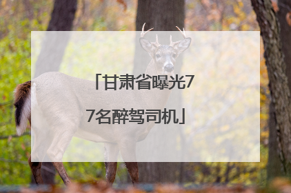 甘肃省曝光77名醉驾司机