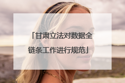 甘肃立法对数据全链条工作进行规范