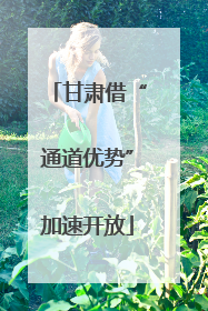 甘肃借“通道优势”加速开放
