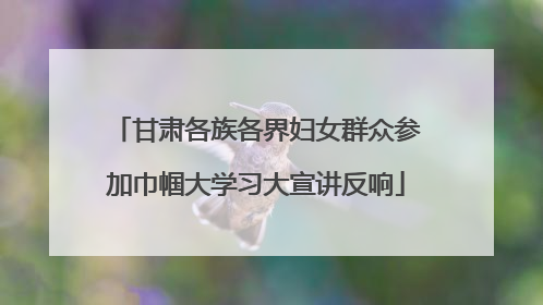 甘肃各族各界妇女群众参加巾帼大学习大宣讲反响