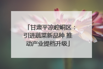 甘肃平凉崆峒区：引进蔬菜新品种 推动产业提档升级