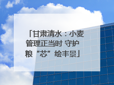 甘肃清水：小麦管理正当时 守护粮“芯”绘丰景