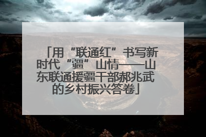 用“联通红”书写新时代“疆”山情——山东联通援疆干部郝兆武的乡村振兴答卷