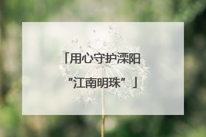 用心守护溧阳“江南明珠”