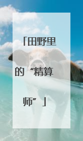 田野里的“精算师”