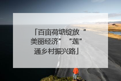 百亩荷塘绽放“美丽经济”“莲”通乡村振兴路