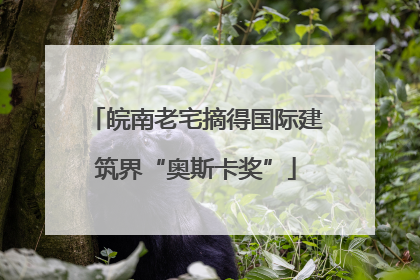 皖南老宅摘得国际建筑界“奥斯卡奖”