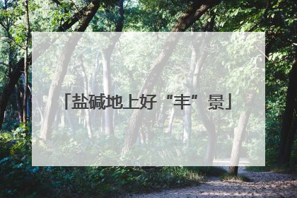 盐碱地上好“丰”景