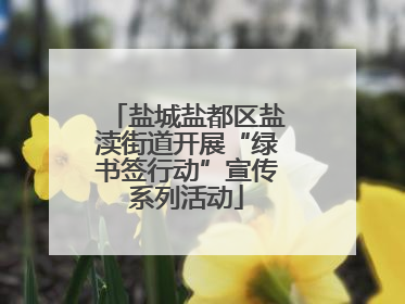 盐城盐都区盐渎街道开展“绿书签行动”宣传系列活动