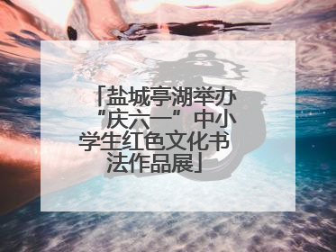 盐城亭湖举办“庆六一”中小学生红色文化书法作品展