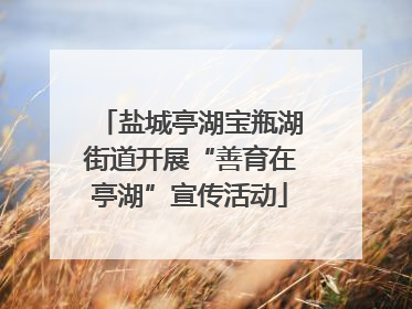 盐城亭湖宝瓶湖街道开展“善育在亭湖”宣传活动
