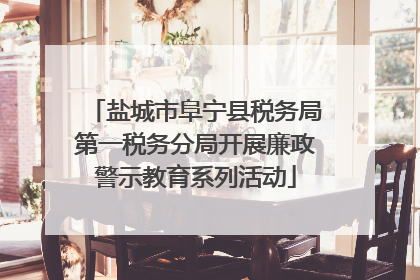 盐城市阜宁县税务局第一税务分局开展廉政警示教育系列活动