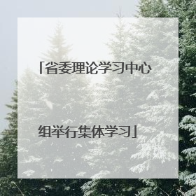 省委理论学习中心组举行集体学习