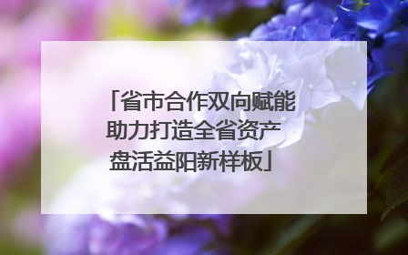 省市合作双向赋能 助力打造全省资产盘活益阳新样板