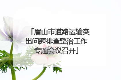 眉山市道路运输突出问题排查整治工作专题会议召开