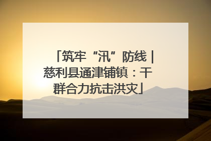 筑牢“汛”防线｜慈利县通津铺镇：干群合力抗击洪灾
