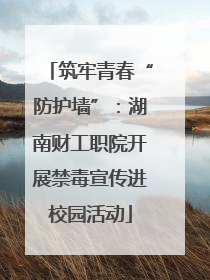 筑牢青春“防护墙”：湖南财工职院开展禁毒宣传进校园活动
