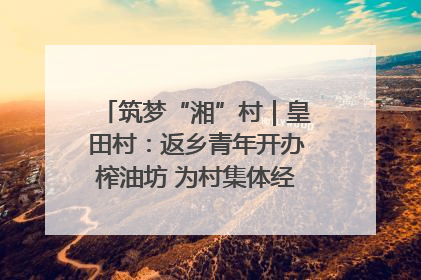 筑梦“湘”村｜皇田村：返乡青年开办榨油坊 为村集体经济“加油”