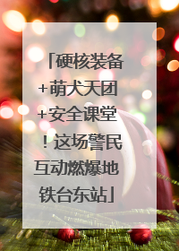 硬核装备+萌犬天团+安全课堂！这场警民互动燃爆地铁台东站