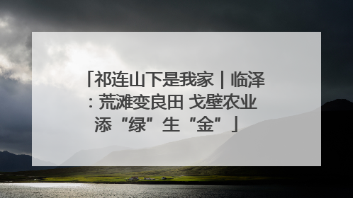 祁连山下是我家｜临泽：荒滩变良田 戈壁农业添“绿”生“金”