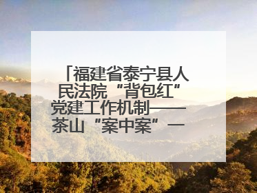 福建省泰宁县人民法院“背包红”党建工作机制——茶山“案中案”一揽子了结