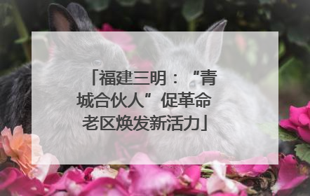 福建三明：“青城合伙人”促革命老区焕发新活力