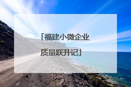 福建小微企业质量跃升记