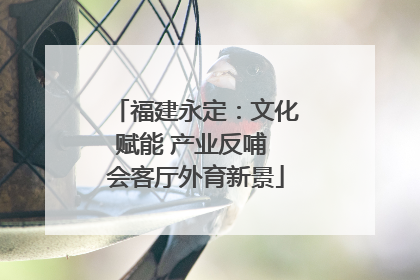 福建永定：文化赋能 产业反哺 会客厅外育新景