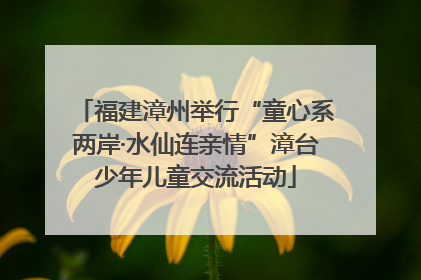福建漳州举行“童心系两岸·水仙连亲情”漳台少年儿童交流活动