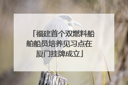 福建首个双燃料船舶船员培养见习点在厦门挂牌成立