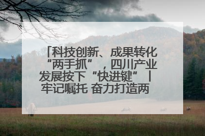 科技创新、成果转化“两手抓”，四川产业发展按下“快进键”丨牢记嘱托 奋力打造两高地两基地一屏障