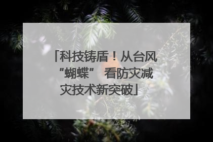 科技铸盾！从台风“蝴蝶” 看防灾减灾技术新突破