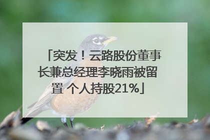 突发！云路股份董事长兼总经理李晓雨被留置 个人持股21%