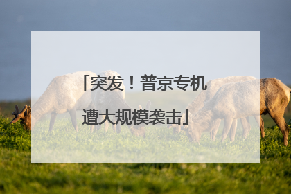 突发！普京专机遭大规模袭击